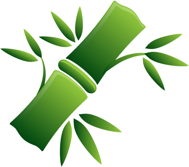 Nous formons des naturopathes