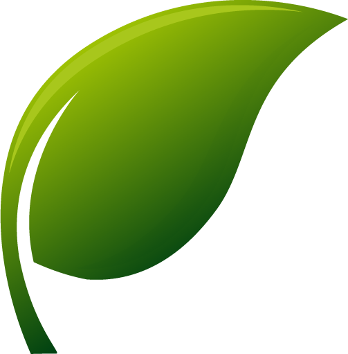 Nous formons des phytothérapeutes