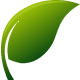 Phytothérapie