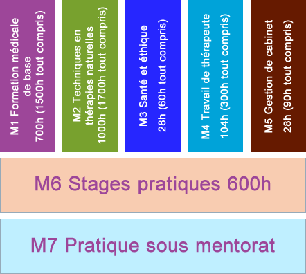 Organigramme du diplôme de naturopathie selon l'OrTra MA