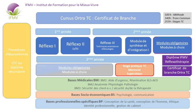 Descriptifs/contenus Des Formations Ou Cursus Suivis Exemple