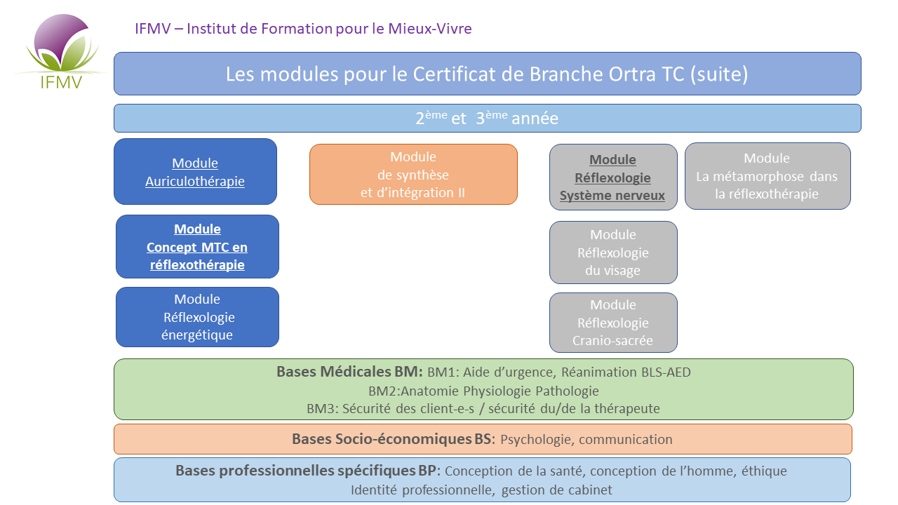 Descriptifs/contenus Des Formations Ou Cursus Suivis Exemple